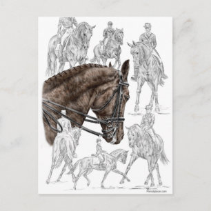Verzamelde Dressage Horses FEI Briefkaart