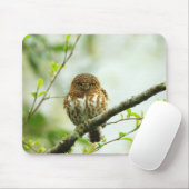 Verzamelde varkensdwerg op boomtak, muismat (Met muis)