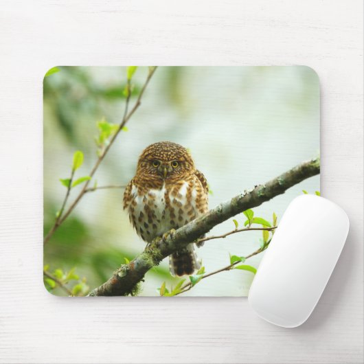 Verzamelde varkensdwerg op boomtak, muismat (Met muis)