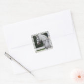 Verzamelde Witte Paard Stickers (Envelop)