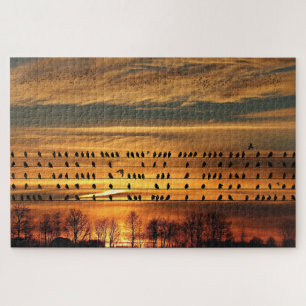 Verzamelen van bloedingen legpuzzel