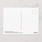 Verzamelen van kardinalen (?) briefkaart (Achterkant)