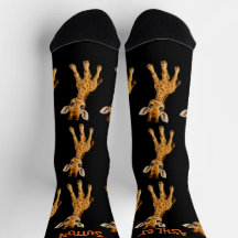 Verzameling Mooie Actieve Baby Dieren Giraffe