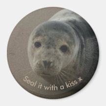 Verzegel het met een kiss schattige baby grey seal