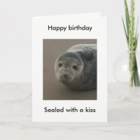 Verzegeld met een kus schattige zeehondenpup verja