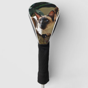 Verzegelpunt Siamese kat op kruispunt Golfheadcover