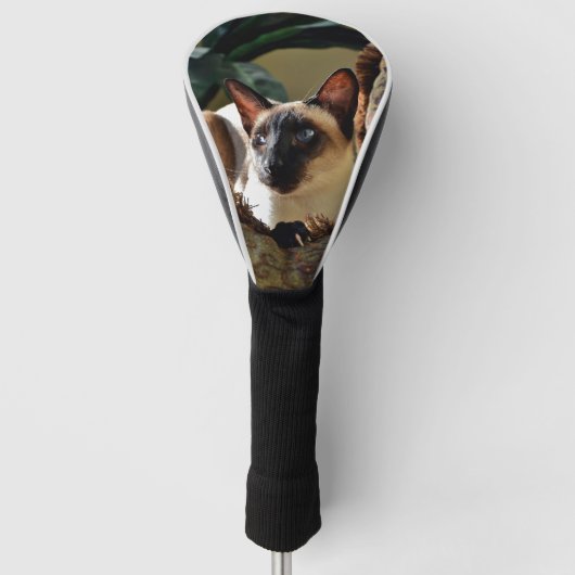 Verzegelpunt Siamese kat op kruispunt Golfheadcover (Voorkant)