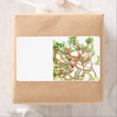 verzendadres label (Insitu)