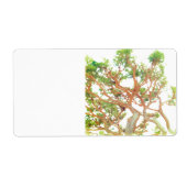 verzendadres label (Voorkant)