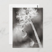 Verzenden uit briefkaart (Voorkant / Achterkant)