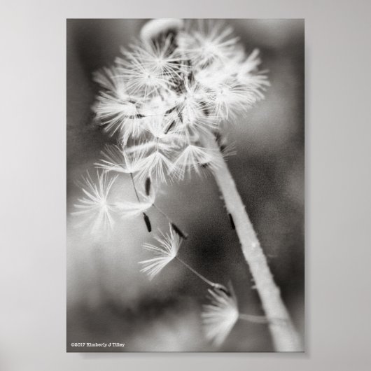 Verzenden uit poster (Voorkant)