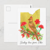 Verzenden van Liefde Ohio Kardinaal Vogel Anjers Briefkaart (Voorkant / Achterkant)