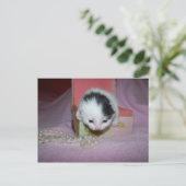 Verzending per post briefkaart (Staand voorkant)