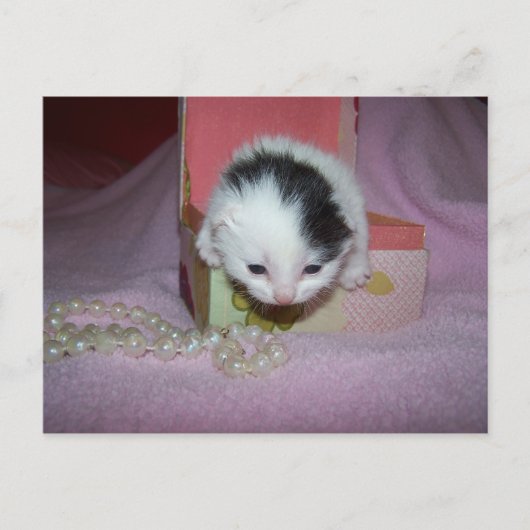 Verzending per post briefkaart (Voorkant)