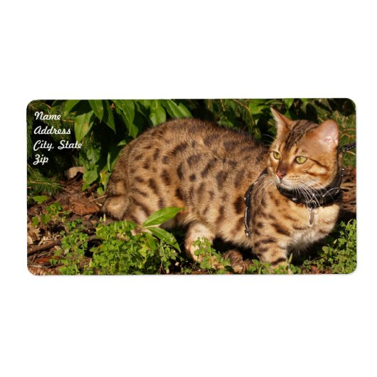 Verzendlabel Savannah Cat (Voorkant)