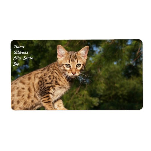 Verzendlabel Savannah Cat (Voorkant)