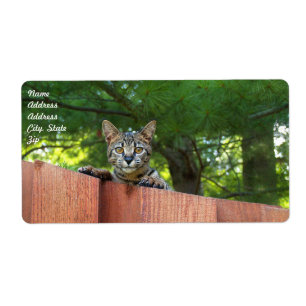 Verzendlabel Savannah Cat