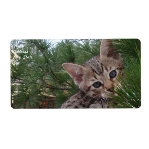 Verzendlabel Savannah Cat
