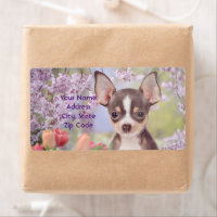 Verzendlabels voor Chihuahua-honden