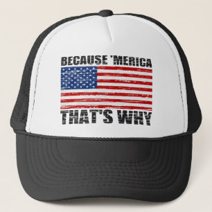 VERZORGD OMDAT MERICA WAAROM ONS Pet VLAG