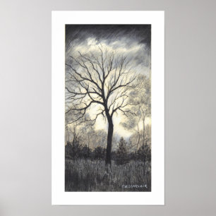 VERZWAKING VAN HET STORM DOOR CR SINCLAIR POSTER