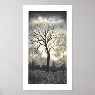 VERZWAKING VAN HET STORM DOOR CR SINCLAIR POSTER