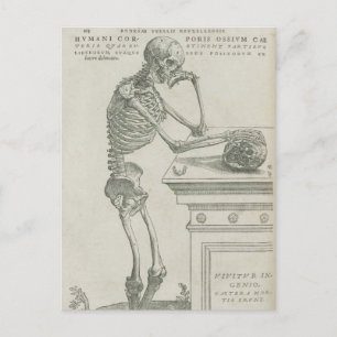 Vesalius Skelet Afbeelding Briefkaart