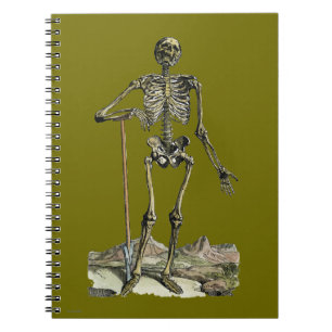 Vesalius: Skelet Systeem Notitieboek