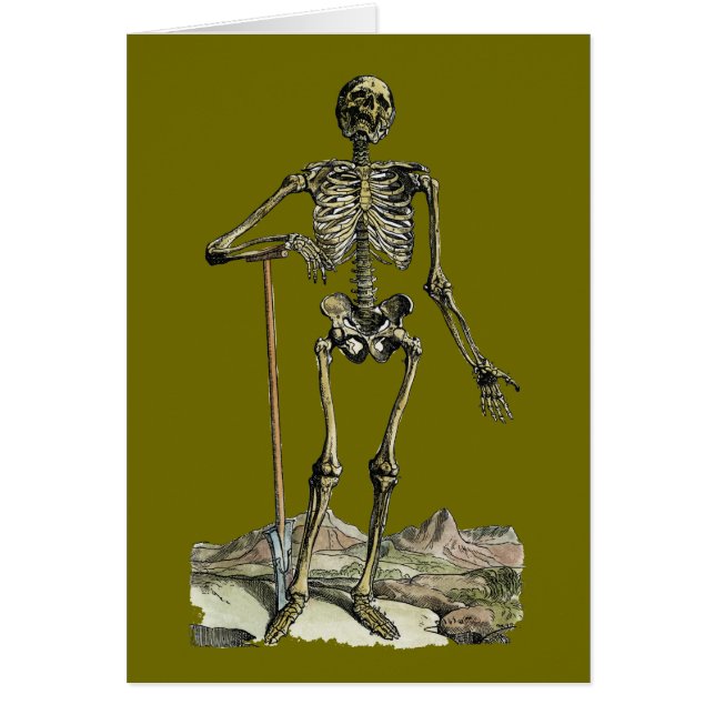 Vesalius: Skeletspierstelsel- en (Voorkant)
