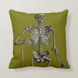 Vesalius: Skeletspierstelsel- en Kussen