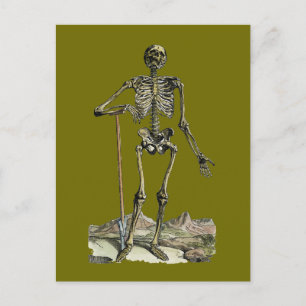 Vesalius: Skeletstelsel Briefkaart