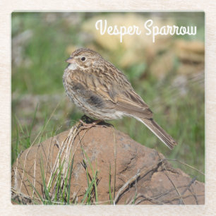 Vesper Sparrow Glazen Onderzetter