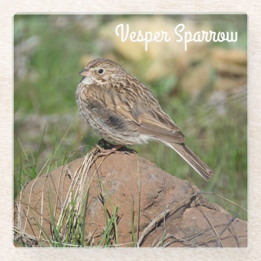 Vesper Sparrow Glazen Onderzetter (Voorkant)