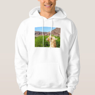 Veste À Capuche Alpaga près de Salta, Argentine