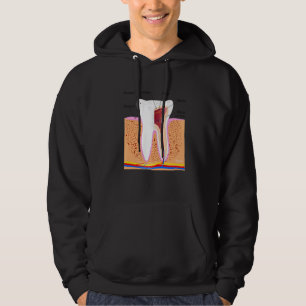 Veste À Capuche Anatomie Dentaire Pour Dentin Dentin Enamel Ging