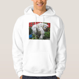 Veste À Capuche Année du cheval 春 節 馬 ... Topiary chinois