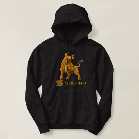Veste À Capuche Bull Market Solana SOL Crypto Coin HODL (Design devant)