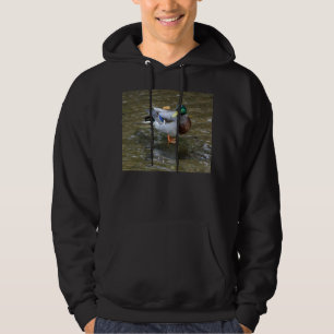 Veste À Capuche Canard de Mallard/sweatshirt à capuchon coton de