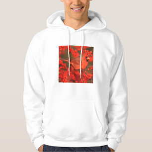 Veste À Capuche Cardinal rouge du Nord mâle, IL