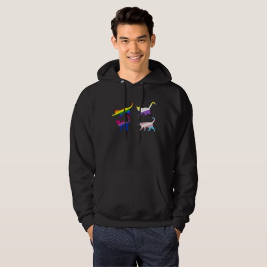 Veste À Capuche Cat Lgbt Trans Asexual Nonbinary (Devant entier)