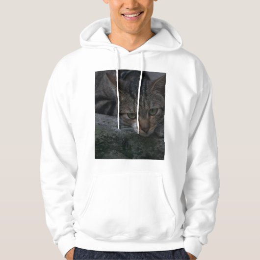 Veste À Capuche Chat gris (Devant)
