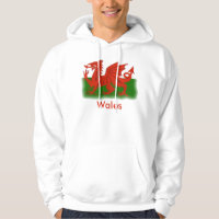 Chemise de dragon de Gallois