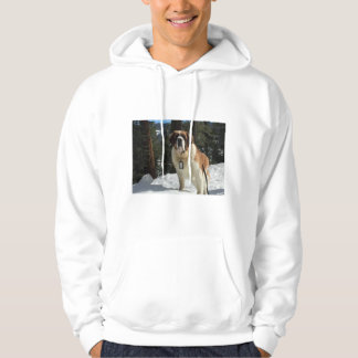 Veste À Capuche chemise de sudation pour chien St. Bernard vêtemen