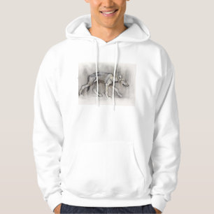 Veste À Capuche Chiot maigre