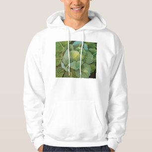Veste À Capuche Chou