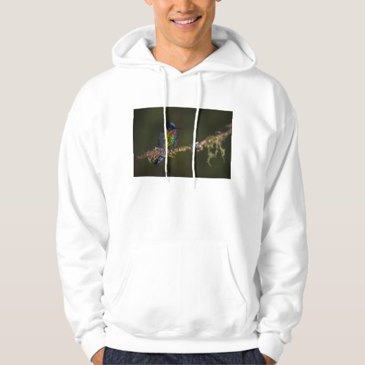 Veste À Capuche Colibri (Devant)