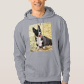Veste À Capuche Corgi (Devant)