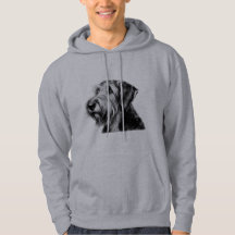 Dessin d'Otterhound