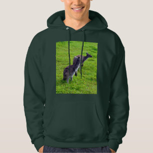 Veste À Capuche Horizons sans limites : Kangaroos gris sur la plai