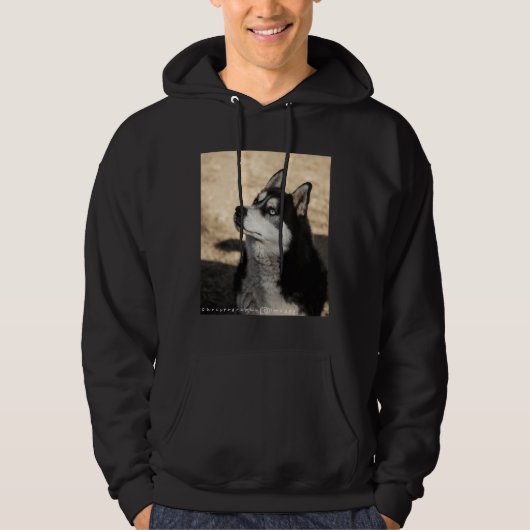 Veste À Capuche Husky Pup Scoop (Devant)